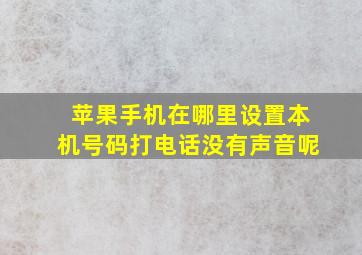 苹果手机在哪里设置本机号码打电话没有声音呢