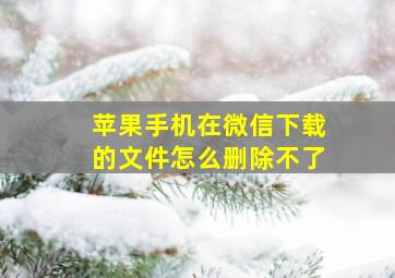 苹果手机在微信下载的文件怎么删除不了