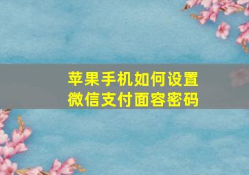 苹果手机如何设置微信支付面容密码