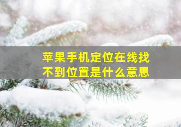 苹果手机定位在线找不到位置是什么意思