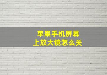 苹果手机屏幕上放大镜怎么关