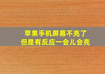 苹果手机屏幕不亮了但是有反应一会儿会亮