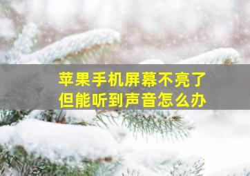 苹果手机屏幕不亮了但能听到声音怎么办