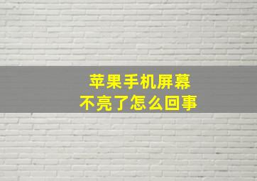 苹果手机屏幕不亮了怎么回事