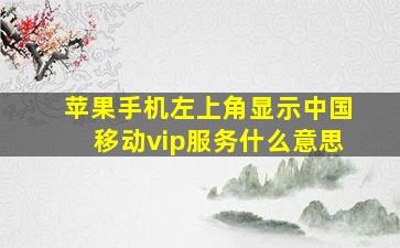 苹果手机左上角显示中国移动vip服务什么意思