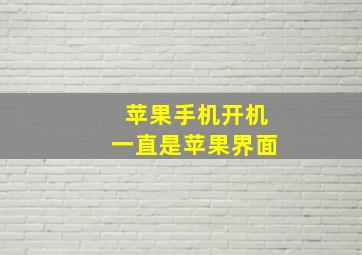 苹果手机开机一直是苹果界面