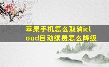 苹果手机怎么取消icloud自动续费怎么降级