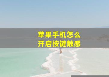 苹果手机怎么开启按键触感