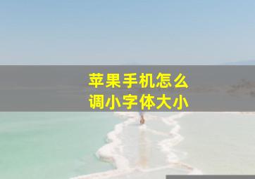 苹果手机怎么调小字体大小