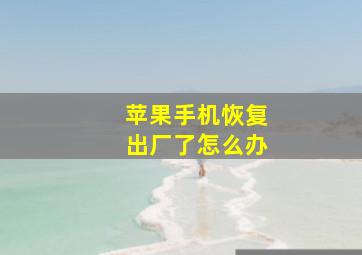 苹果手机恢复出厂了怎么办