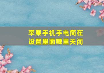 苹果手机手电筒在设置里面哪里关闭