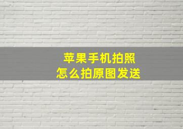 苹果手机拍照怎么拍原图发送