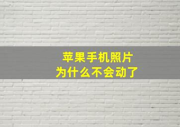 苹果手机照片为什么不会动了