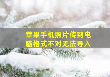 苹果手机照片传到电脑格式不对无法导入