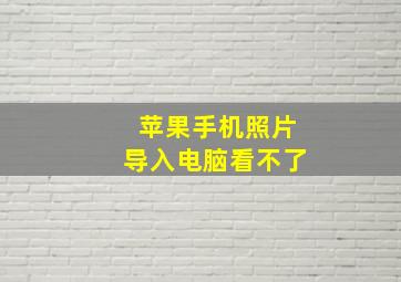 苹果手机照片导入电脑看不了