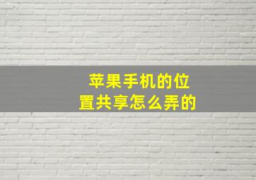 苹果手机的位置共享怎么弄的