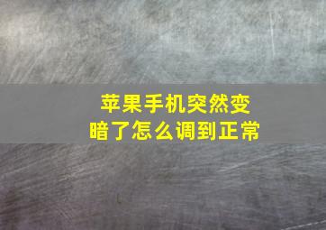 苹果手机突然变暗了怎么调到正常