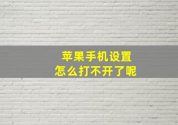 苹果手机设置怎么打不开了呢