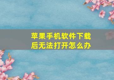 苹果手机软件下载后无法打开怎么办