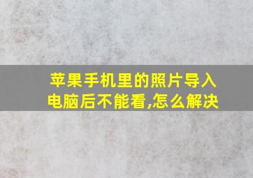 苹果手机里的照片导入电脑后不能看,怎么解决