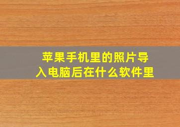 苹果手机里的照片导入电脑后在什么软件里