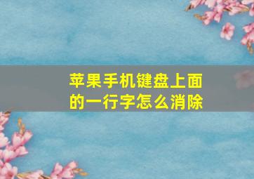 苹果手机键盘上面的一行字怎么消除