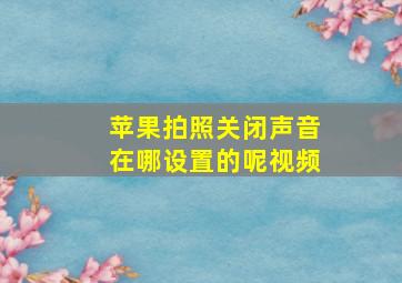 苹果拍照关闭声音在哪设置的呢视频