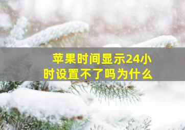 苹果时间显示24小时设置不了吗为什么