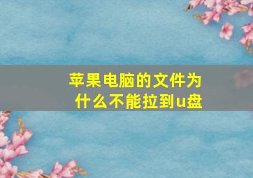 苹果电脑的文件为什么不能拉到u盘