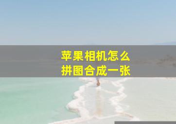 苹果相机怎么拼图合成一张