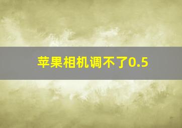 苹果相机调不了0.5