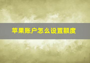 苹果账户怎么设置额度