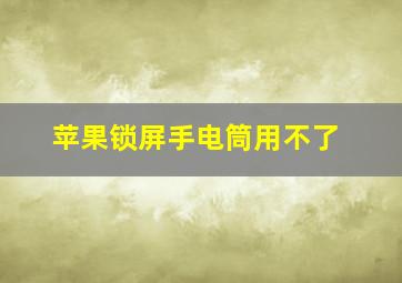 苹果锁屏手电筒用不了