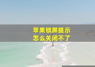 苹果锁屏提示怎么关闭不了