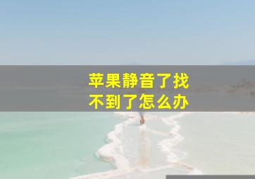 苹果静音了找不到了怎么办