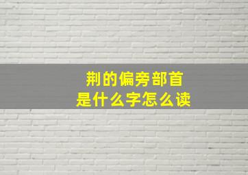 荆的偏旁部首是什么字怎么读