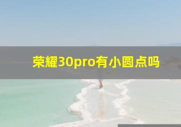 荣耀30pro有小圆点吗