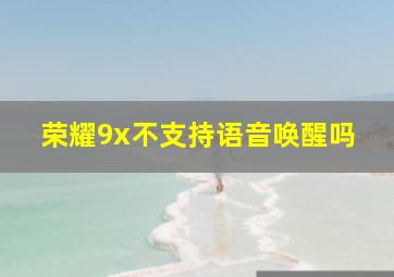 荣耀9x不支持语音唤醒吗