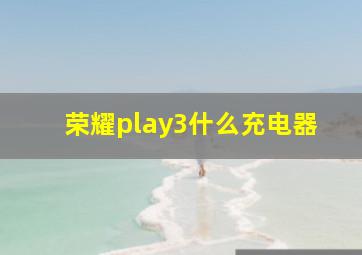 荣耀play3什么充电器