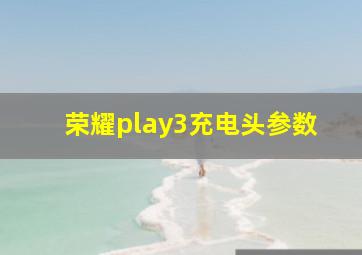 荣耀play3充电头参数