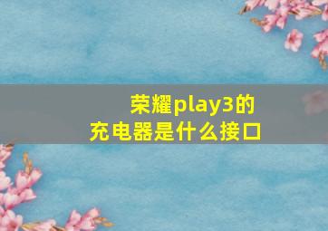 荣耀play3的充电器是什么接口