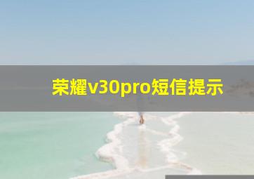 荣耀v30pro短信提示