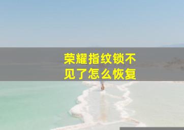 荣耀指纹锁不见了怎么恢复