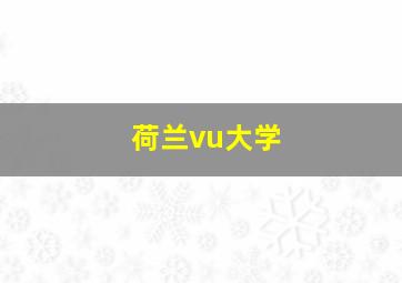 荷兰vu大学