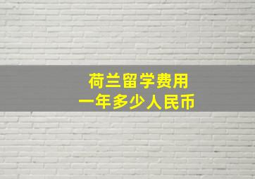 荷兰留学费用一年多少人民币