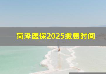 菏泽医保2025缴费时间