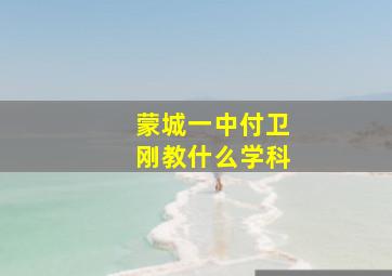 蒙城一中付卫刚教什么学科