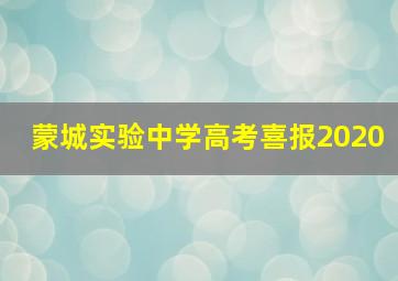 蒙城实验中学高考喜报2020