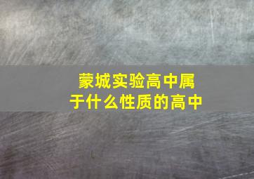 蒙城实验高中属于什么性质的高中