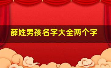 薛姓男孩名字大全两个字